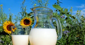 Cow's Milk Causes Growth?