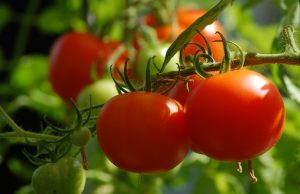 'DNA thinking' Lycopene beats Prostrate Cancer!