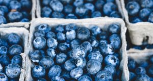 Powerful Blueberries Remarkable Health Results!