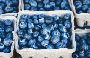 Powerful Blueberries Remarkable Health Results!