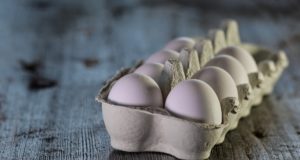 Covert Spoiler For Guilt Free Eggs?