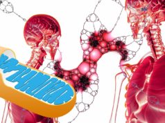 Gigantic Mitochondrial Health Trends Uncovered