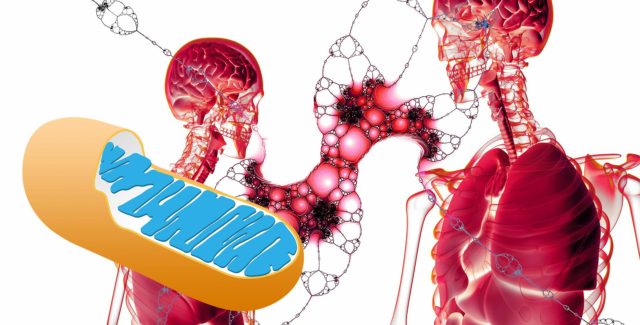 Gigantic Mitochondrial Health Trends Uncovered