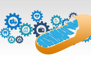 Unbelievable Cancer Ketosis Mitochondria Triumph