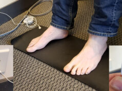 Grounding For Health, Sadly Animals Defying Humans?