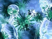 Age IS Authoritative In Deadly Coronavirus Mortality
